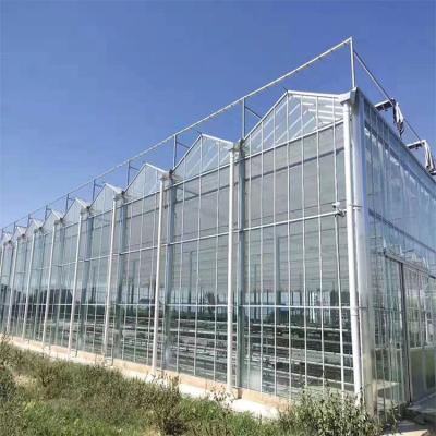 Chine Serre à pommes de terre en polycarbonate à longue portée avec système d'irrigation à vendre