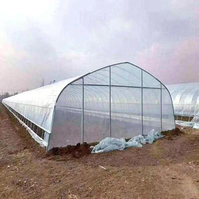 China Single Span Tunnel Plastic Film Planting Vegetable Greenhouse For Agriculture for sale