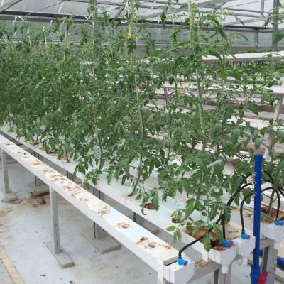 中国 Agriculture Farming Pipe PVC Square Soilless Hydroponic NFT Growing Systems For Greenhouse 販売のため