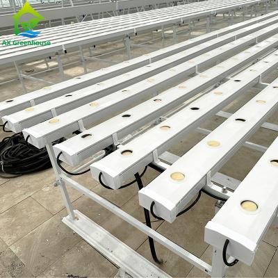 China Greenhouse Farming Soilless Hydroponic NFT PVC Pipe Tube Growing System for sale