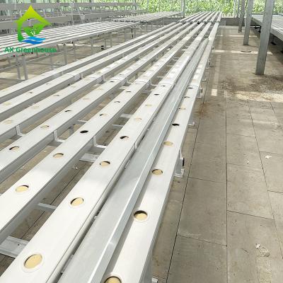 China Agricultura vertical Cultivo sin suelo Sistema de tuberías cuadradas NFT hidropónico en venta