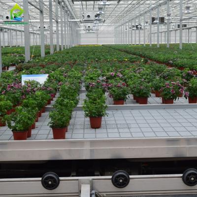 China Agricultura Cultivo sin suelo Hidropónico Invernadero Banco rodante Tabla de cultivo Innovadora malla en venta