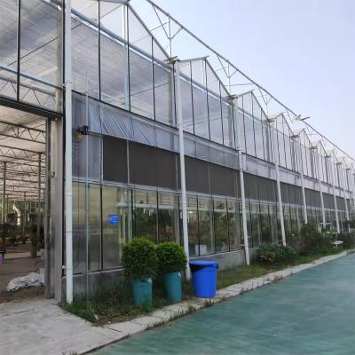 China Snow Resistant Luxury Multi-span Agricultural Venlo Glass Greenhouse For Vegetable Growing for sale