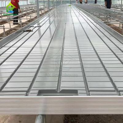 China Tabla de rodadura hidropónica móvil para plantas en invernadero en venta