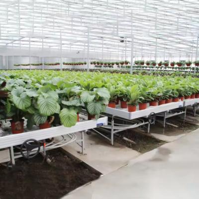 China Cultivo sin suelo Invernadero de interior de cultivo por encargo Ebb Tabla de cultivo de rodillos para semillas en venta