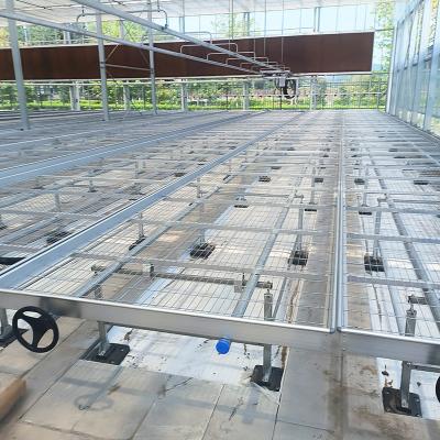 China Horticultura Cama de semillas ajustable de malla de alambre Comerciante de cultivo en invernadero en venta