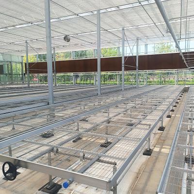 China Cuadro de cultivo para invernadero en venta