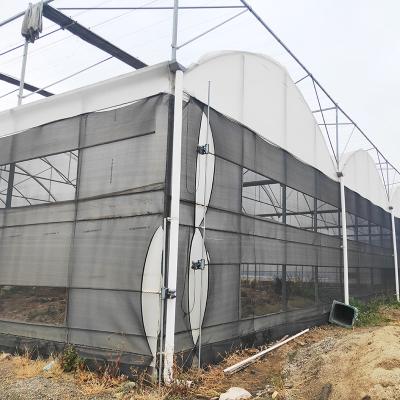 China Commercial Multi-span Polytunnel Light Deprivation Greenhouse With Shade Net for sale