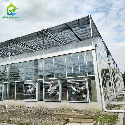 China Luxury Agricultural Multi-span Glass House Vegetable Greenhouse for sale