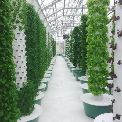 China Venta al por mayor Petal sin suelo 12 capas Sistema hidropónico Torre de cultivo con luz para lechuga en venta