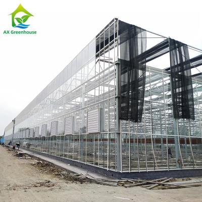 China Wholesale Price Agricultural Glass House Vegetable Multi-span Durable Greenhouse for sale