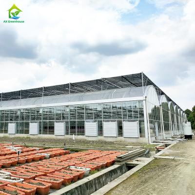 China Agricultural Modern Farming Galvanized Steel Venlo Glass Greenhouse For Vegetable zu verkaufen