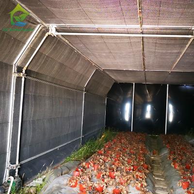 China Automated Mushroom Growing Light Deprivation Blackout Agricultural Greenhouse for sale