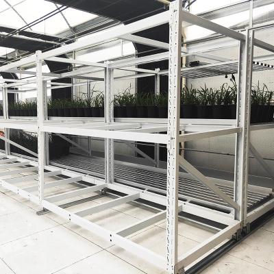 China Customized Indoor Double Layers Vegetable Medical Herb Grow Rack for Vertical Farming for sale