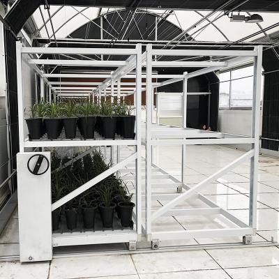 China Agricultural Greenhouse Customized Mushroom Vegetable Grow Racks Double Layers for sale