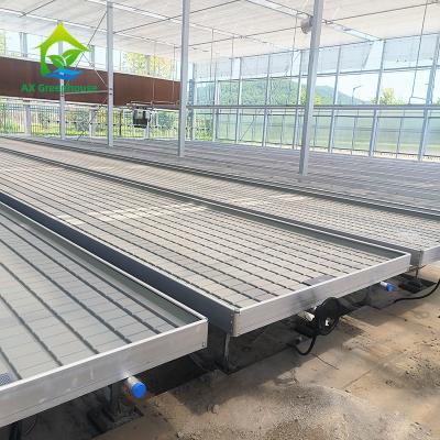 China Invernadero Indoor Hydroponic Ebb And Flood Roller Benches Cultivación de semillas Mesa para la siembra en venta