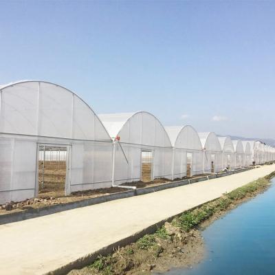 China Multi-span Agricultural Poly Tunnel Plastic Greenhouse met staalstructuur en irrigatiesysteem Te koop