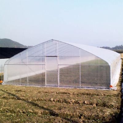 China Película de plástico de tramo único de túnel de invernadero para hortalizas y frutas agrícolas en venta