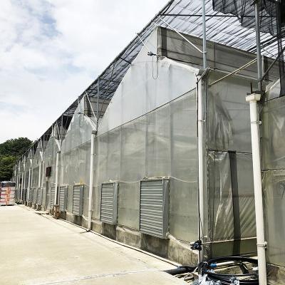 China Sawtooth Poly Film Low Tunnel Agricultural Multi-span Greenhouse For Sale for sale