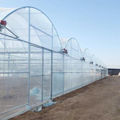 China Durable Custom Size Agricultural Poly Large Tunnel Film Multi-span Greenhouse à venda