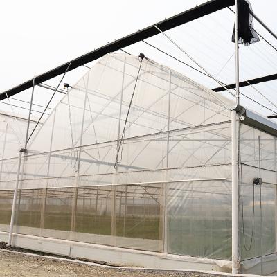 China Outdoor Farming Multi-span Agricultural Vegetable Berry Film Poly Tunnel Greenhouse à venda