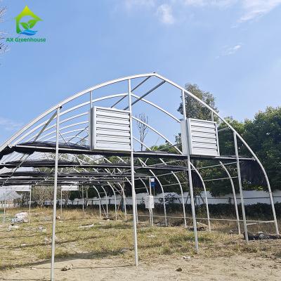 China Groenhuis met laag-tunnel plastic film gegalvaniseerd staal frame structure Te koop