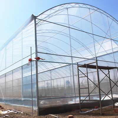 China Poly Tunnel Plastic UV Resistant Film Tomato Herb Hydroponic Single Greenhouse for sale