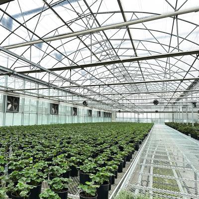 China Steel Tructure UV Resistant Film Poly Tunnel Multi-span Vegetable Greenhouse for Tomatoes for sale