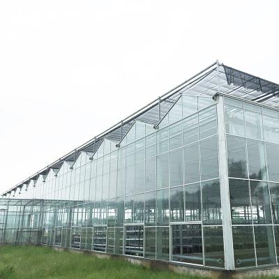 China 9.6m/10.8m/12m Width Aluminum Alloy Frame Agricultural Glass Venlo Multi-span Greenhouse With Triangle Roof Molding for sale