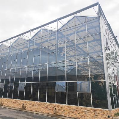 China Op maat gemaakte grootte Aluminium staal Multi-span Venlo Tomato gehard glas kas Te koop