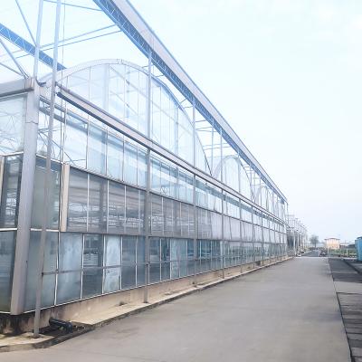 China Triangle Roof Molding Commercial Multi-span Large Tunnel Glass House Flower Growing Gothic Greenhouse for sale