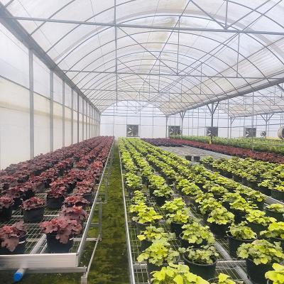 China Gran invernadero de plástico poli-túneles para el cultivo de flores con película de PE de múltiples tramos en venta