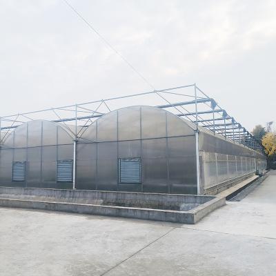 China Vegetables Multi-span PE Film Plastic Greenhouse With Optional Cooling And Irrigation Systems for sale