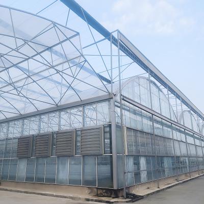 China Agricultural Tempered Glass House Vegetable Growing Multi-span Gothic Greenhouse for sale