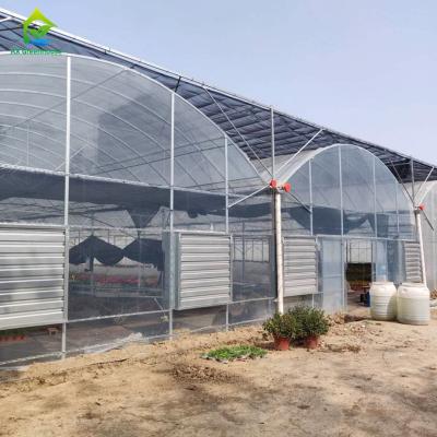 Chine Serre poly-tunnel pour l'agriculture commerciale et les besoins de l'horticulture à grande échelle à vendre