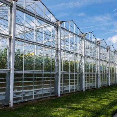 Китай Optimal Ventilation Climate Control for Healthy Crop Growth in Agricultural Glass Greenhouse продается