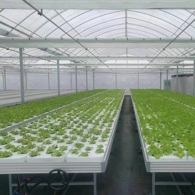 China Horticultura Tabela de crescimento de estufa de tamanho personalizado Banco de rolamento de inundação de refluxo hidropônico à venda