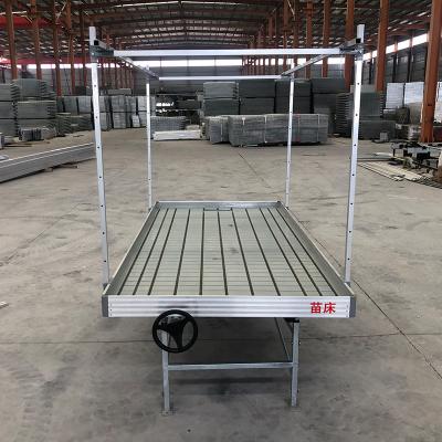 China Custom Size Greenhouse Grow Table Hydroponic Ebb Flood Rolling Bench VerticSeedbed Te koop