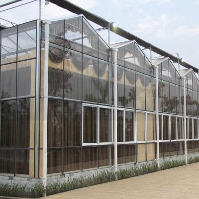 中国 Luxury Multi-span Venlo Tempered Glass Wind Resistant Tomato Greenhouses 販売のため