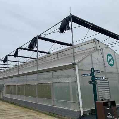 China Horticultura Multi-span Poly Tunnel Sawtooth Tenda de crescimento tropical Estufa à venda