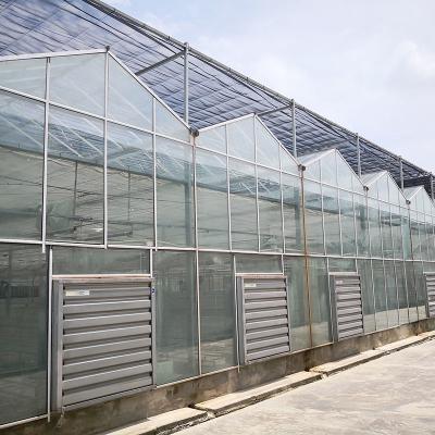 Chine Ventilation automatique Verres agricoles Venlo Grand tunnel Serres à tomates à vendre