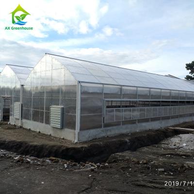 China bedeckt Antigewächshaus-Polycarbonat des schnee-1.2g/Cm2 6mm Doppelwand-Polycarbonats-Platten zu verkaufen