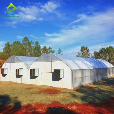 China 100% Darkness Light Deprivation Greenhouse 0.5KNm2 Automated Blackout Greenhouse for sale