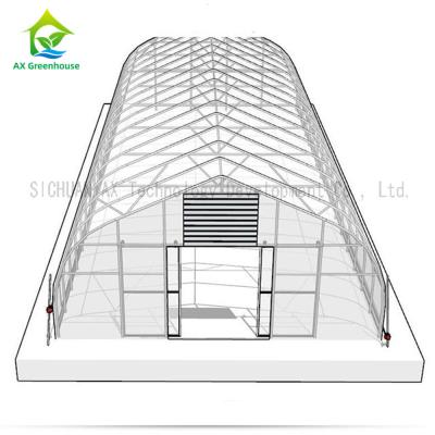 China Agricultural Hydroponic Single Span Greenhouse For Mushroom Cultivation for sale