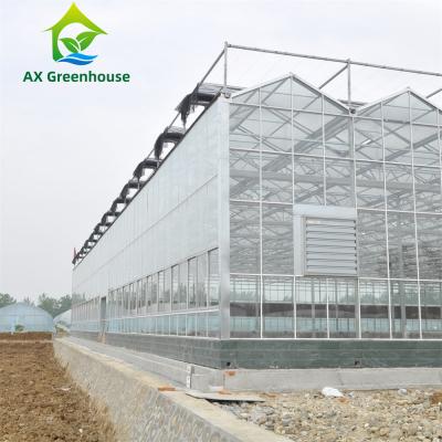 China 12m Serre van de de Serre Woon Hydroponic Aardbei van het Breedte de Landbouwglas Te koop