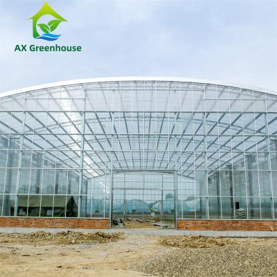 Chine Serre chaude en verre agricole imperméable grand Venlo de Multispan ombrageant la serre chaude à vendre