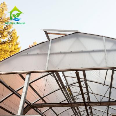 China Vertikales bewirtschaftendes klares Polycarbonats-Gewächshaus 3m bis 7m Höhe zu verkaufen