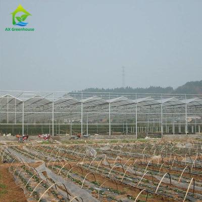 China Soem-Blumen-Polycarbonats-Blatt-Gewächshaus-transparentes tropische Frucht-Gewächshaus zu verkaufen