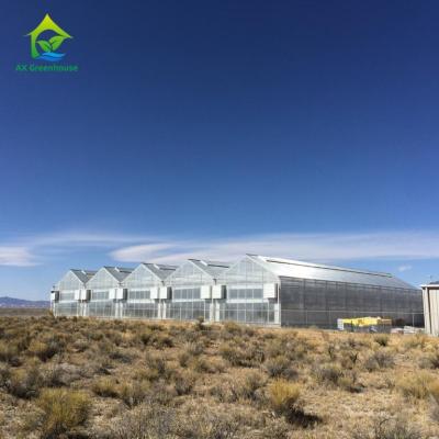 China Multispan PC Sheet Greenhouse for sale