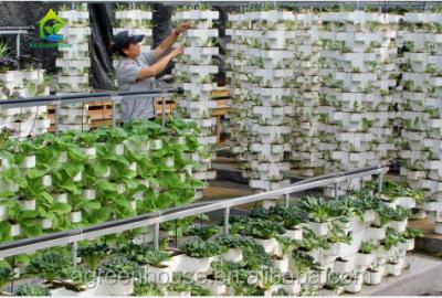 China Voedselrang 3.05.0mm de Dikke Hydroponic Goot van pvc NFT voor Aardbeien Te koop